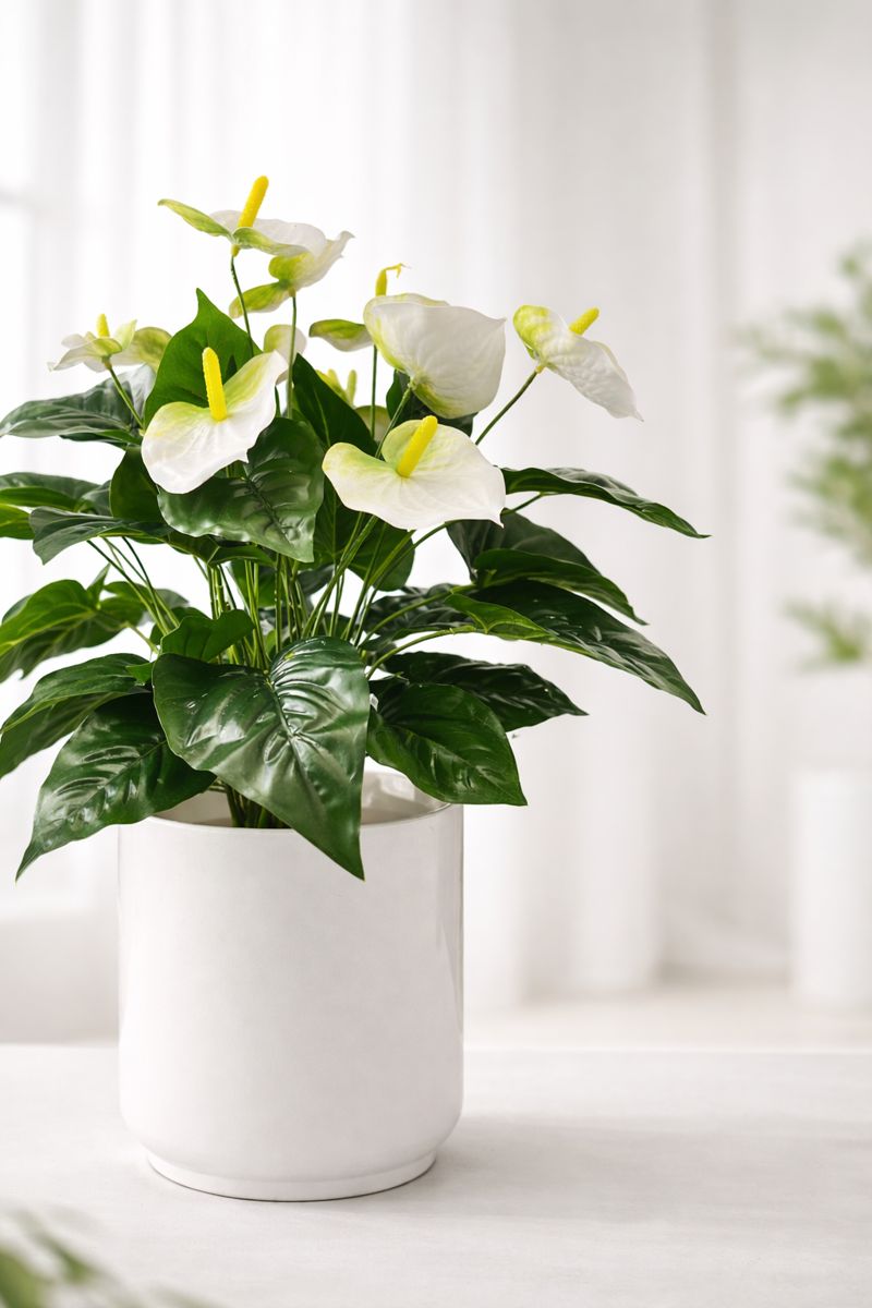 Композиция «Эвкалипт»