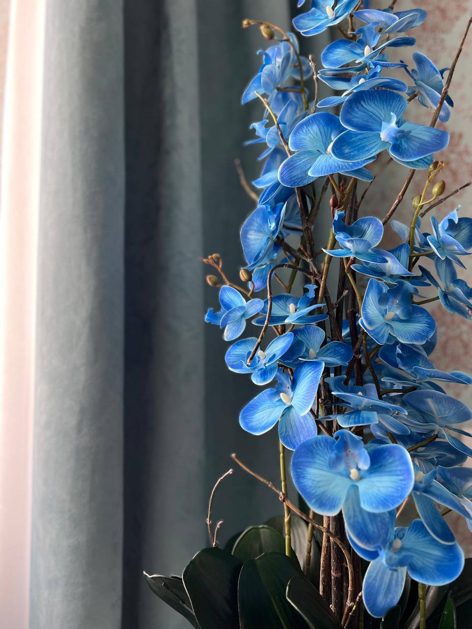 Процесс создания